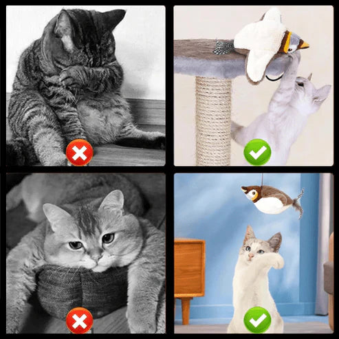 لعبة ChirpMate المبهجة للقطط والكلاب